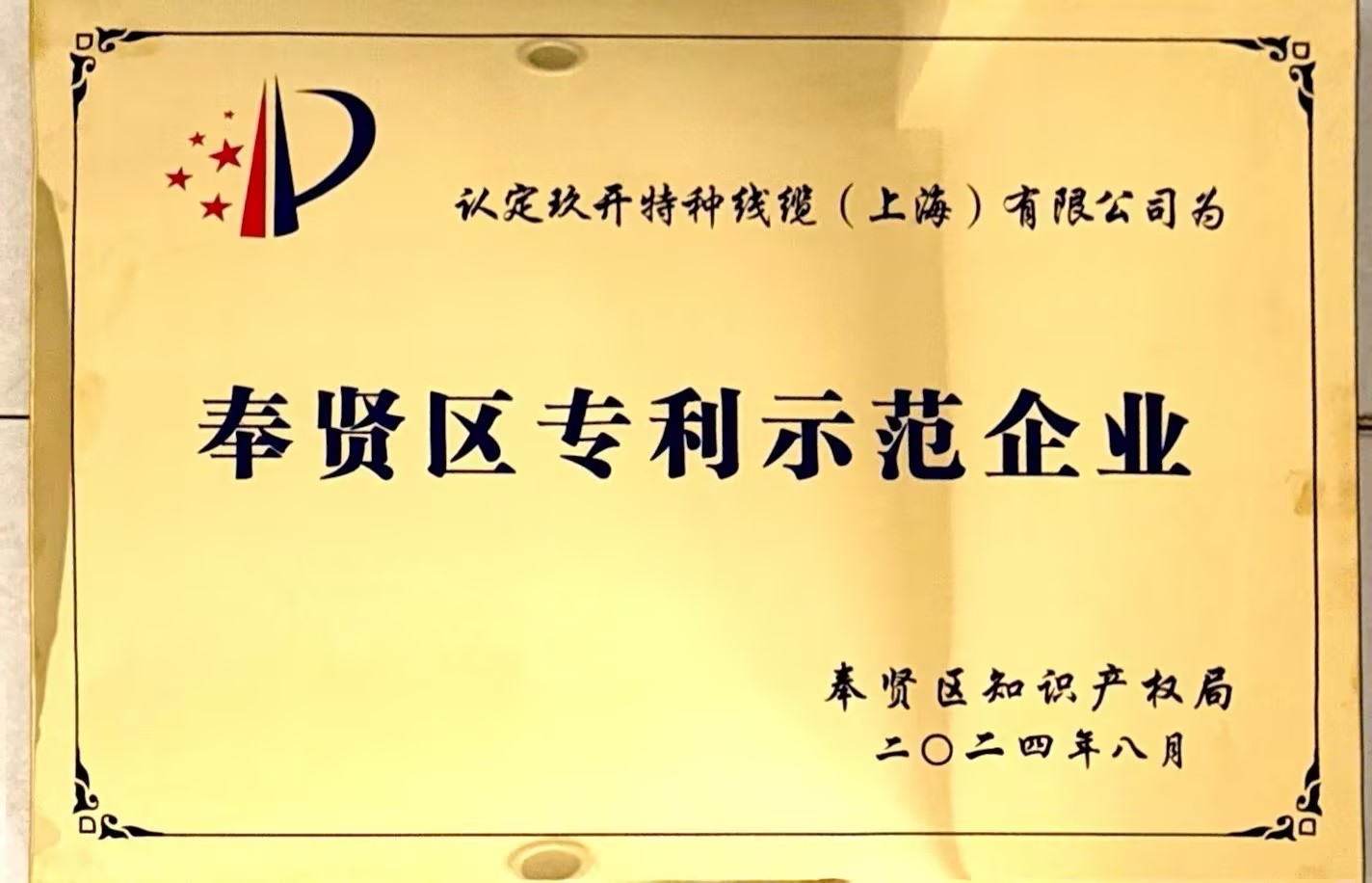 專利示范企業(yè)
